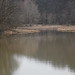 Virginia Castleman Photo 15