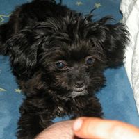 Debbie Mashburn Photo 5