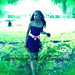 Alex Perkins Photo 27