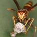 Bruce Combs Photo 16