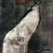 Joy Wolf Photo 18
