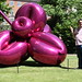 James Koon Photo 14