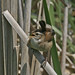 Terri Marsh Photo 22