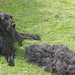 Jayne Combs Photo 10