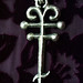 Kelli Cross Photo 12
