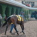 Alan Darby Photo 17