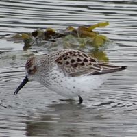 Craig Elkins Photo 22