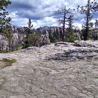 Sue Downing Photo 26