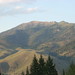 Delores Fox Photo 7
