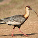 Mark Grise Photo 11