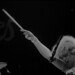 Jan Ansell Photo 13
