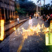 Neil Chen Photo 25