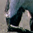 Gerald Wells Photo 39