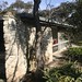 Robin Boyd Photo 27