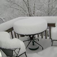 Janet Burgess Photo 19