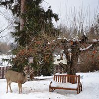 Mark Fee Photo 12