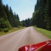 Forest Martin Photo 15