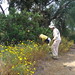 Anne Hahn Photo 11