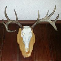 Edward Dill Photo 7