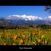 Raul Sierra Photo 31
