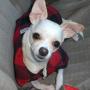 Jackie Roberts Photo 19