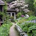 Harry Lovelace Photo 8