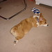 Kirby Lay Photo 5