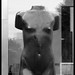 Suzanne Berg Photo 23