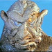 Michael Gordon Photo 22