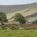 Stephen Head Photo 28