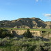 Theodore Mckenzie Photo 10