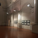 Sara Sperling Photo 10