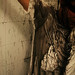 Jon Showers Photo 18
