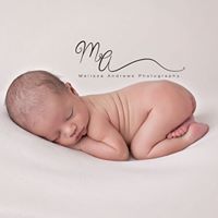 Melinda Cook Photo 23