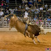 Ronald Burton Photo 40