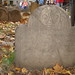 Mary Biggs Photo 34