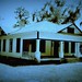 Leeann Nelson Photo 17
