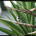 Dorothy Howell Photo 37