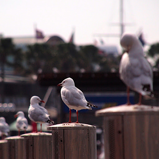 Fabian Schwartz Photo 7