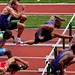 David Hurdle Photo 5