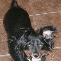 Judy Ott Photo 7