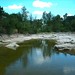 Raymond Russell Photo 9