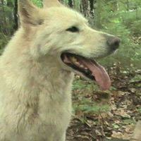 Kelly Mountain Photo 17