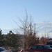 Jason Reno Photo 16