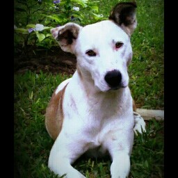 Carlos Villavicencio Photo 37