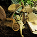 Will Schroeder Photo 29