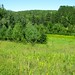 Lester Hill Photo 26