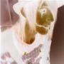 Josh Swift Photo 28