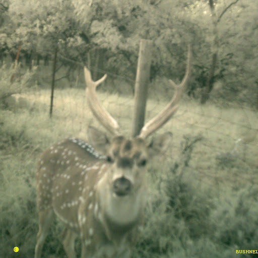 Jacob Redmond Photo 22