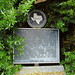 Charles Goodwin Photo 47